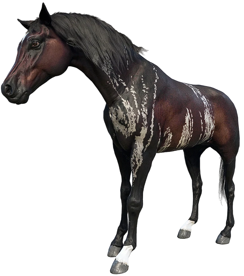 Warped Brindle Arabian