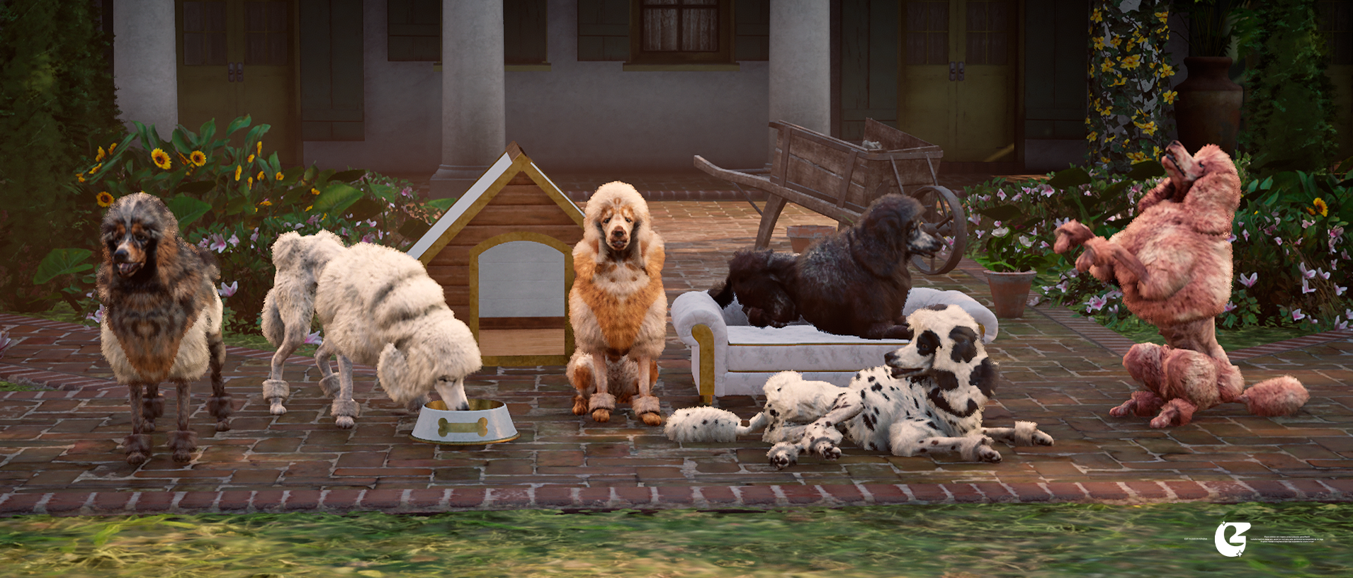 [ Poodle Pack ]