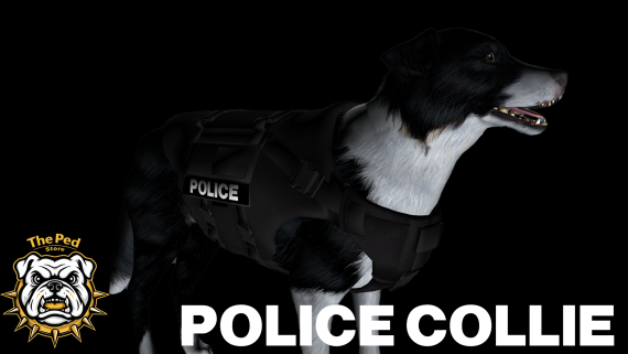 PD Collie (Addon Ped)