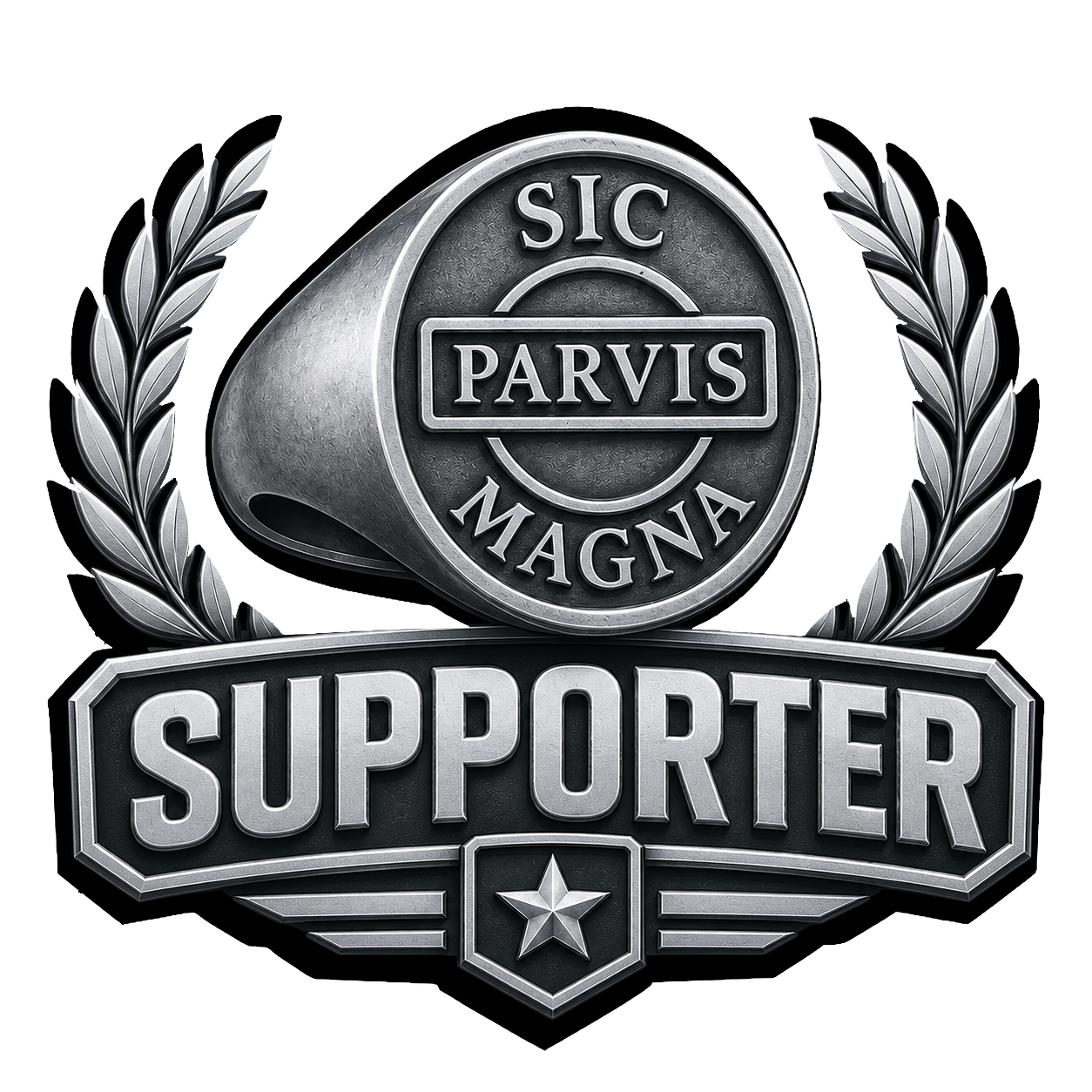 Silver Supporter