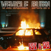 VehicleBurn Script ESX & QB