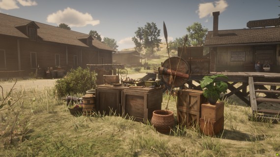 Native Shop Blackwater