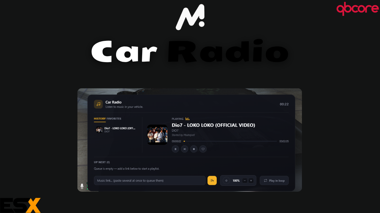 MS CarRadio
