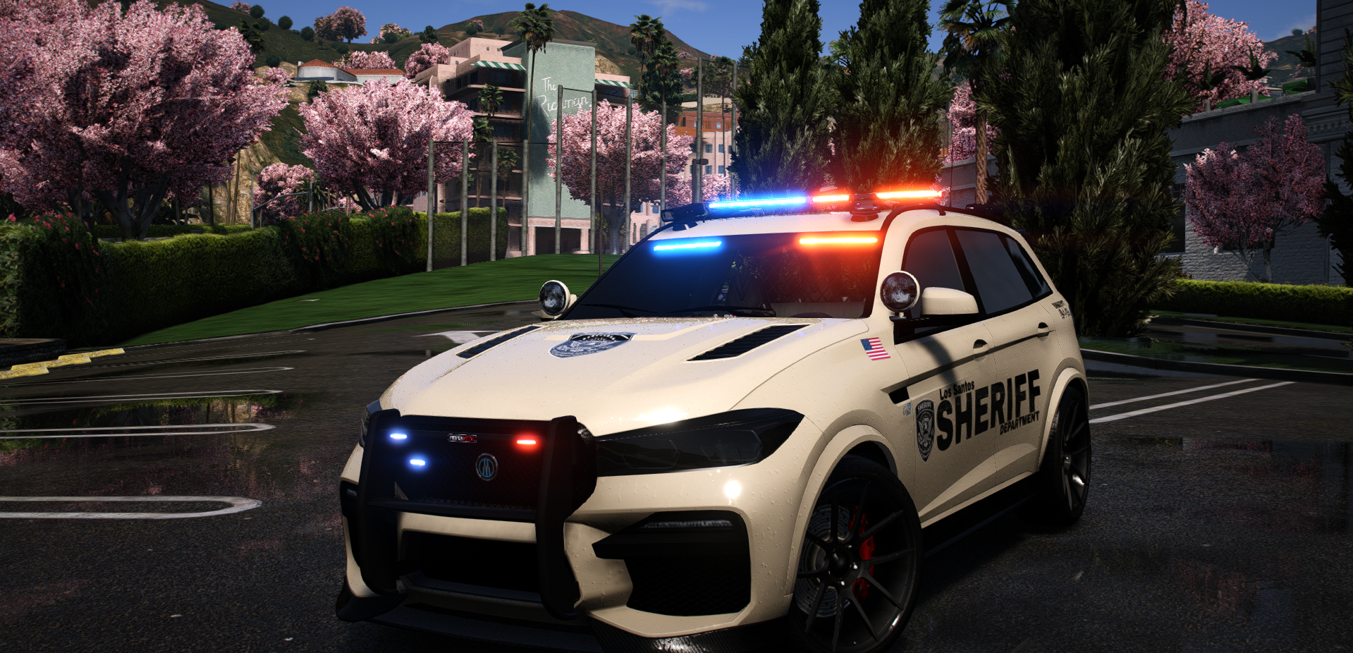 POLICE REBLA (REBLA)
