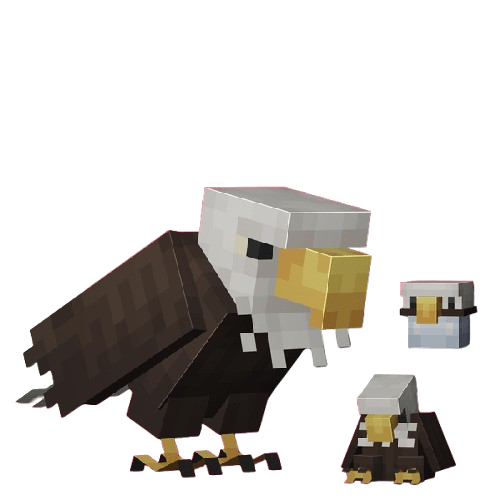 🦅 Bald Eagle — Sky Collector