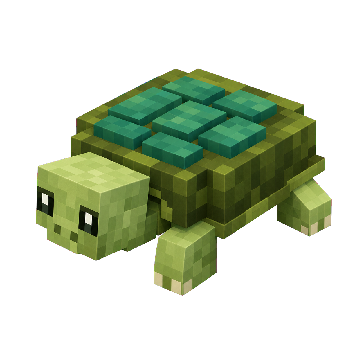 Mascota Tortuga