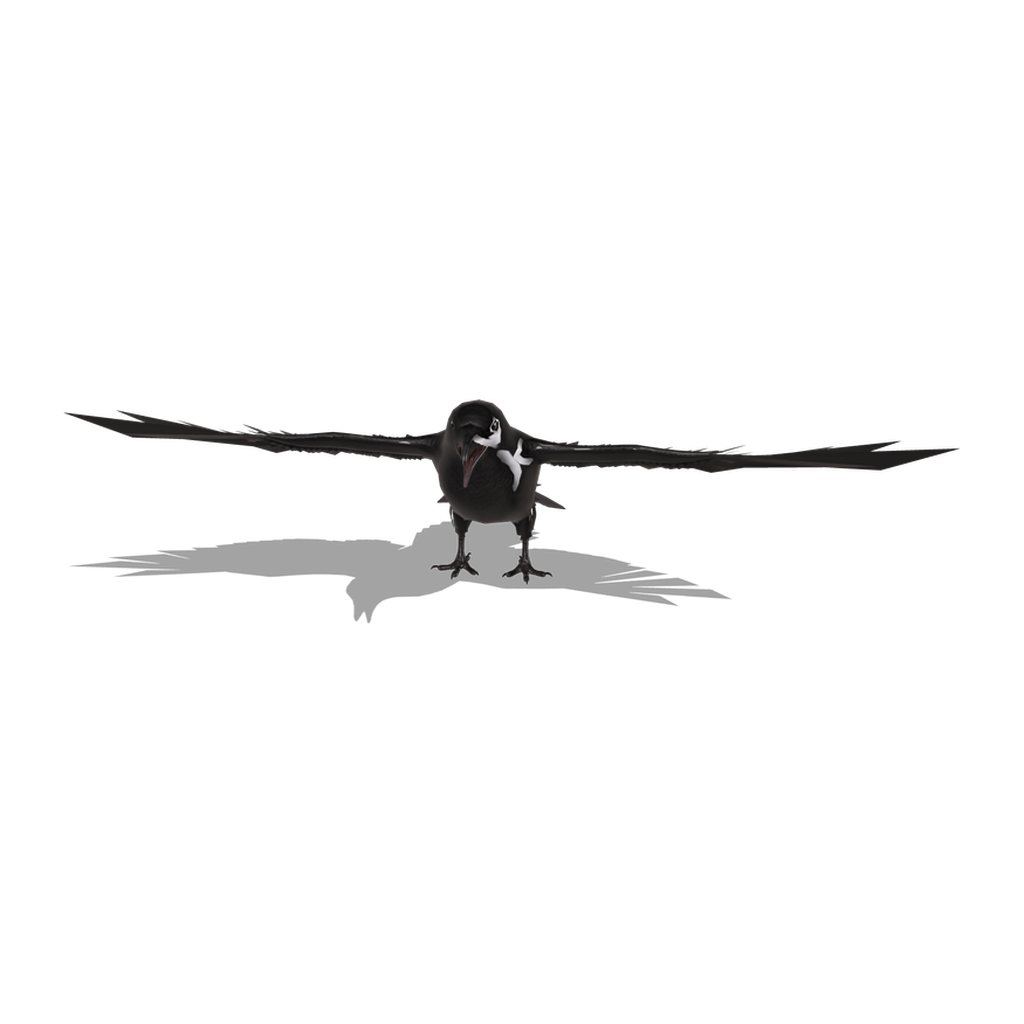 Crow