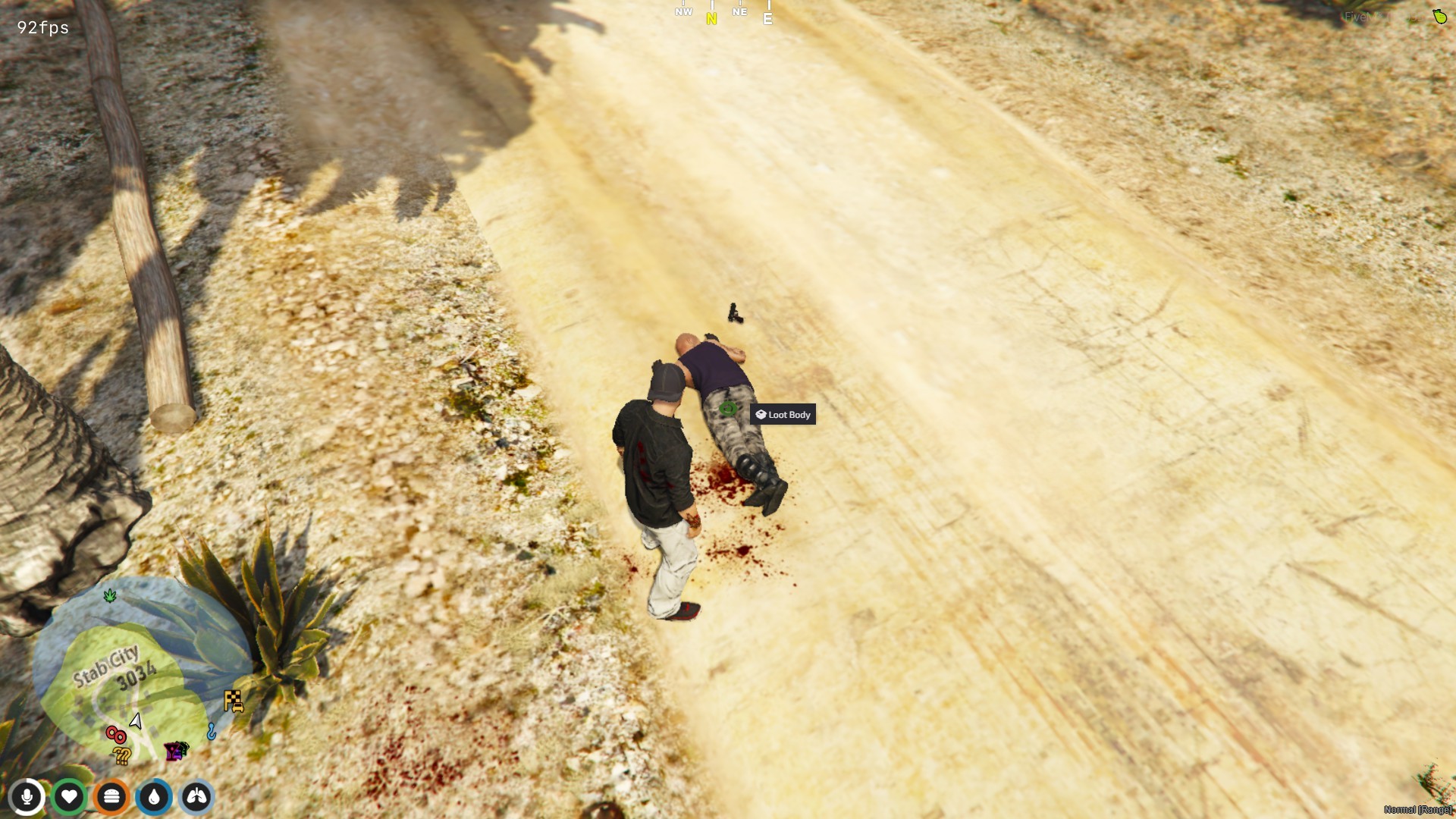 Pedestrian Looting System