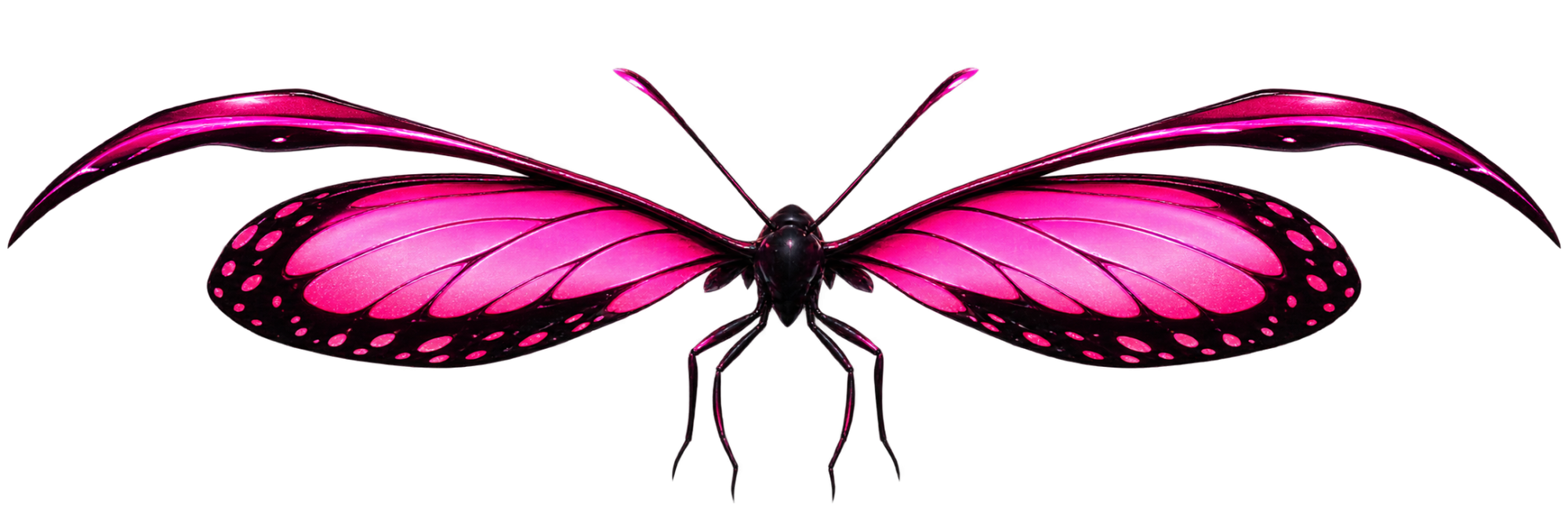 Mariposa Rosa
