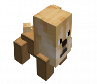 Doge