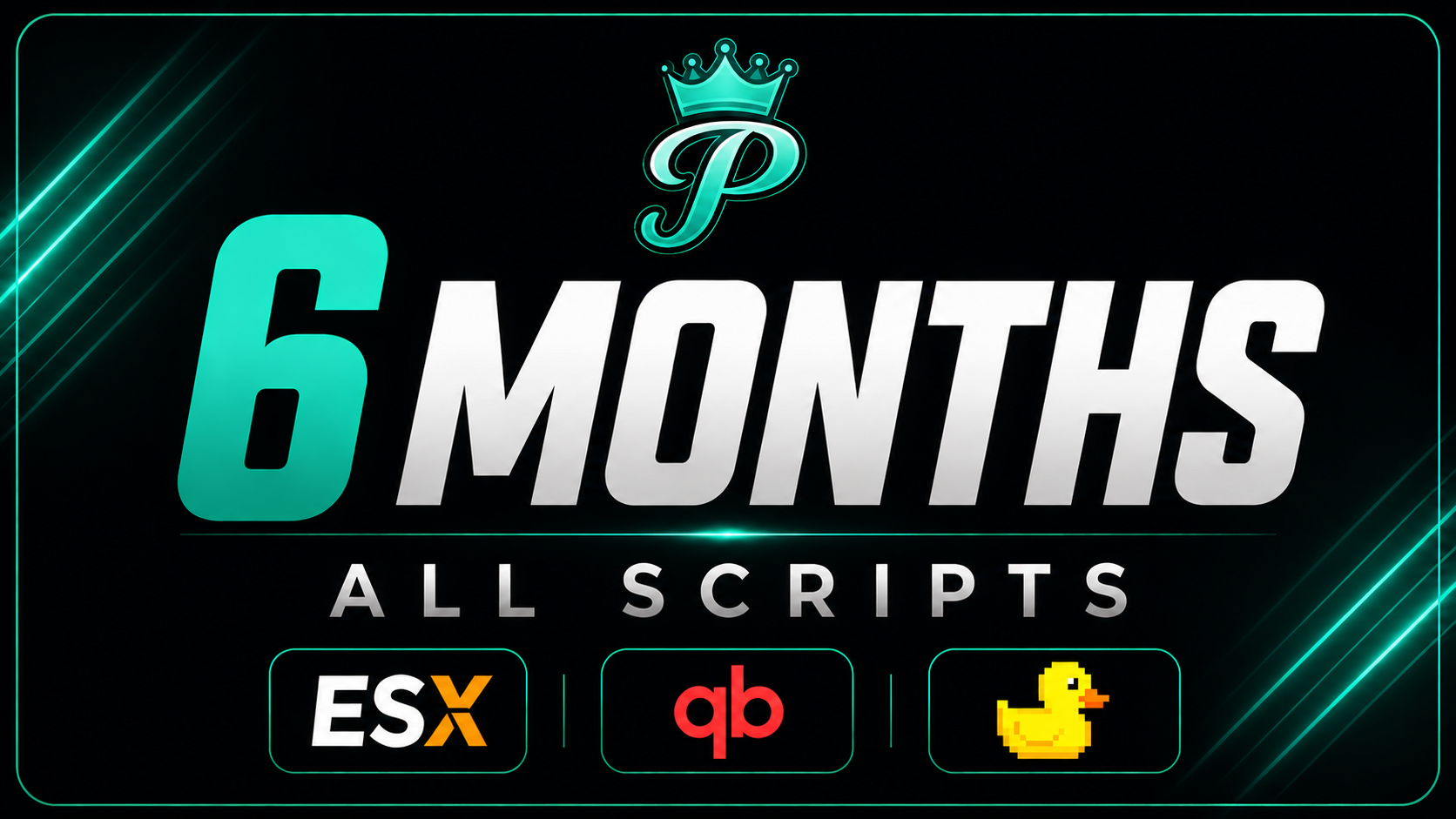 [6 Months] - All Scripts