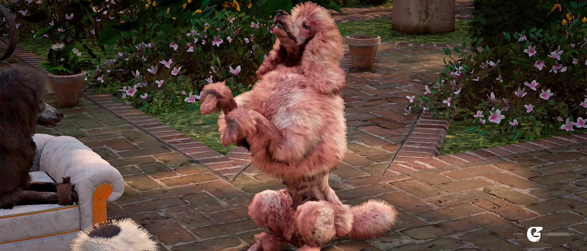 [ Poodle Pack ]