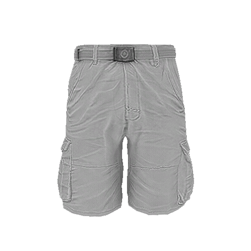 Cargo Shorts (M)