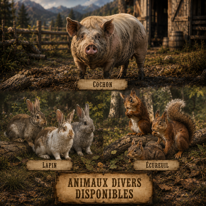 Animaux divers