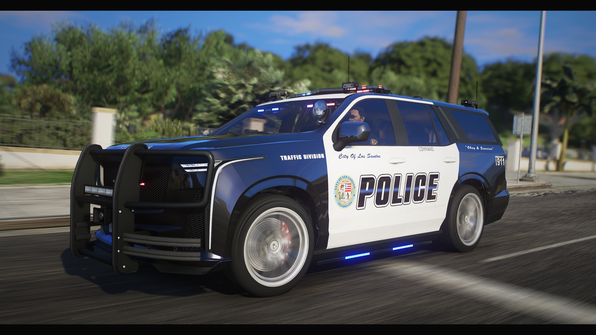 Albany Cavalcade XL Pursuit - Image 2