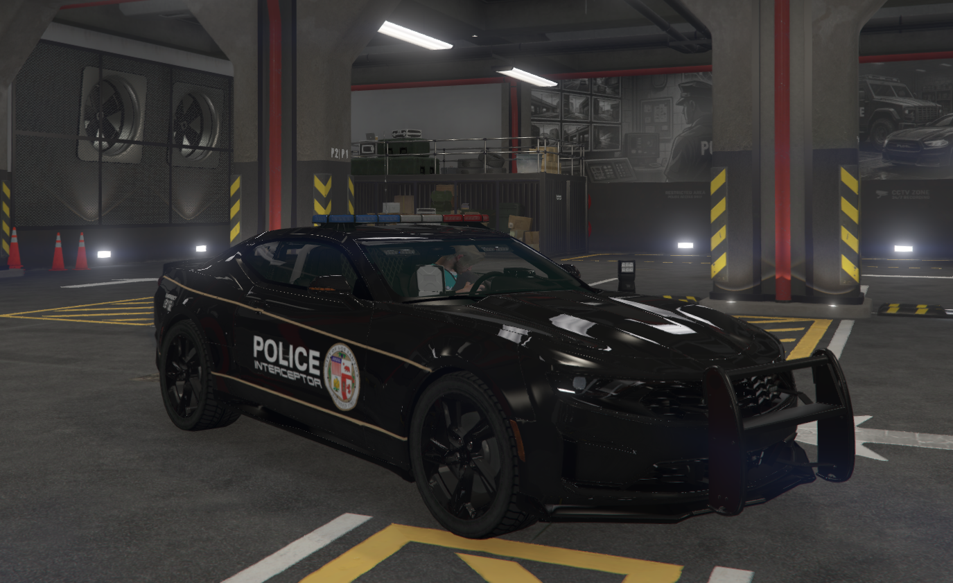 vip police camari