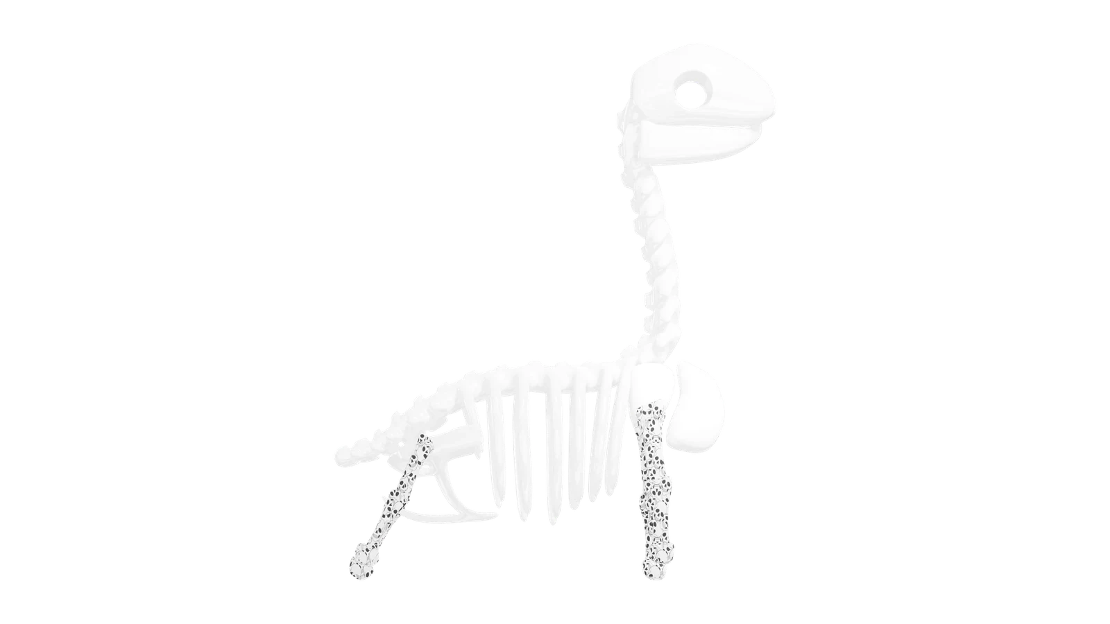 LDSTORE BN - DINO BONES