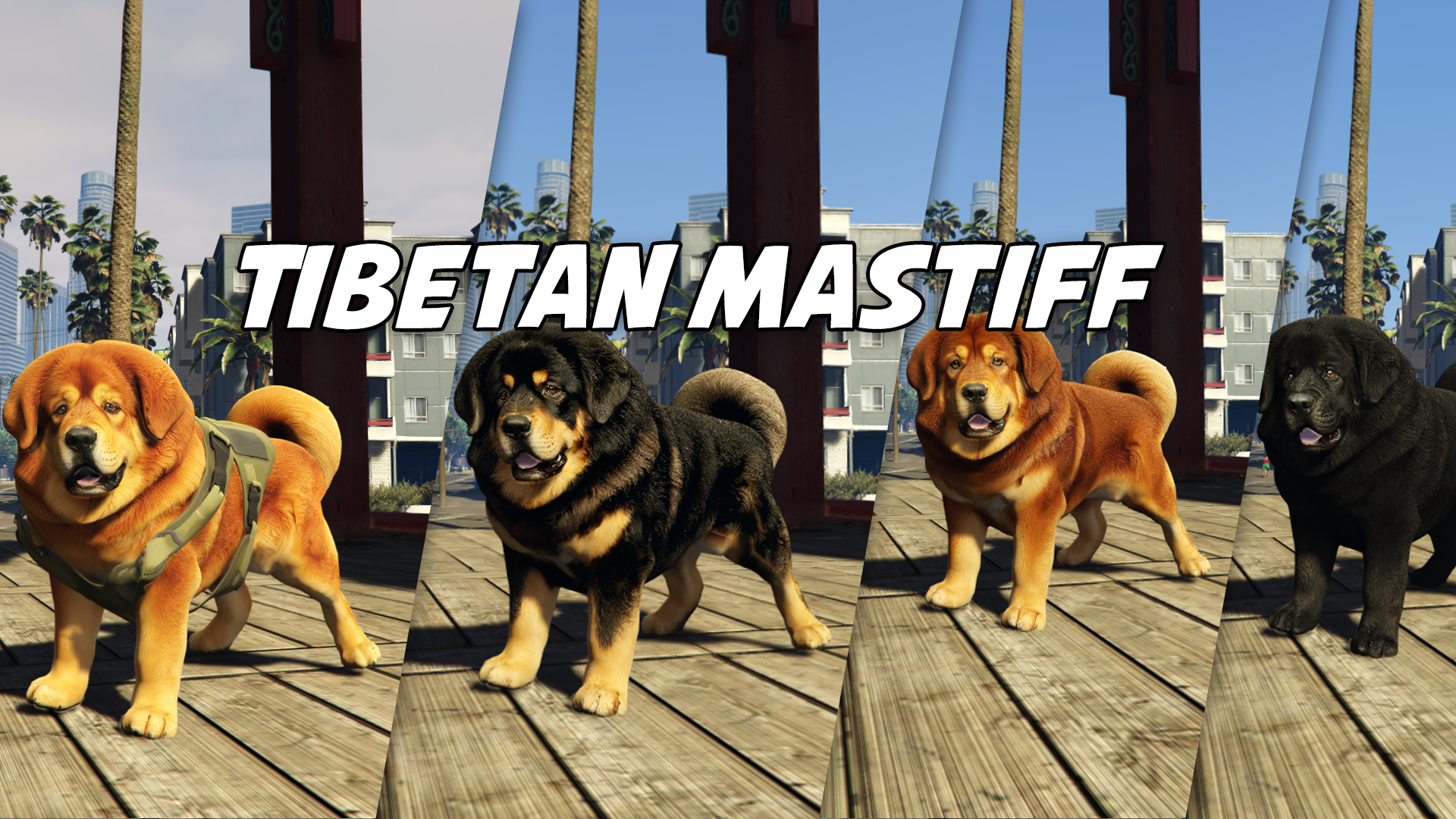 Tibetan Mastiff