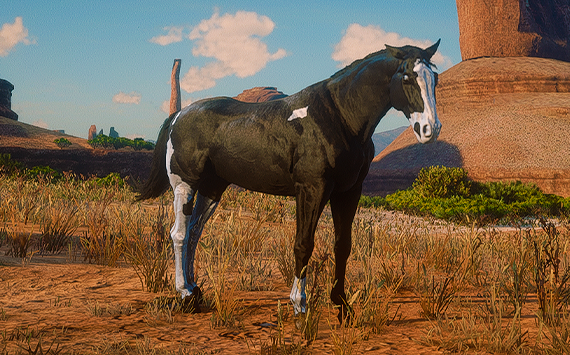 Micah Reborn Black - Femea