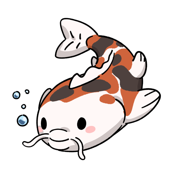 Koi