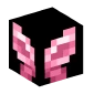 /fly | 5h