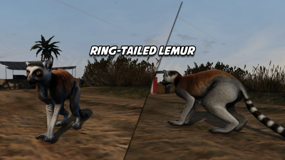 Lemur