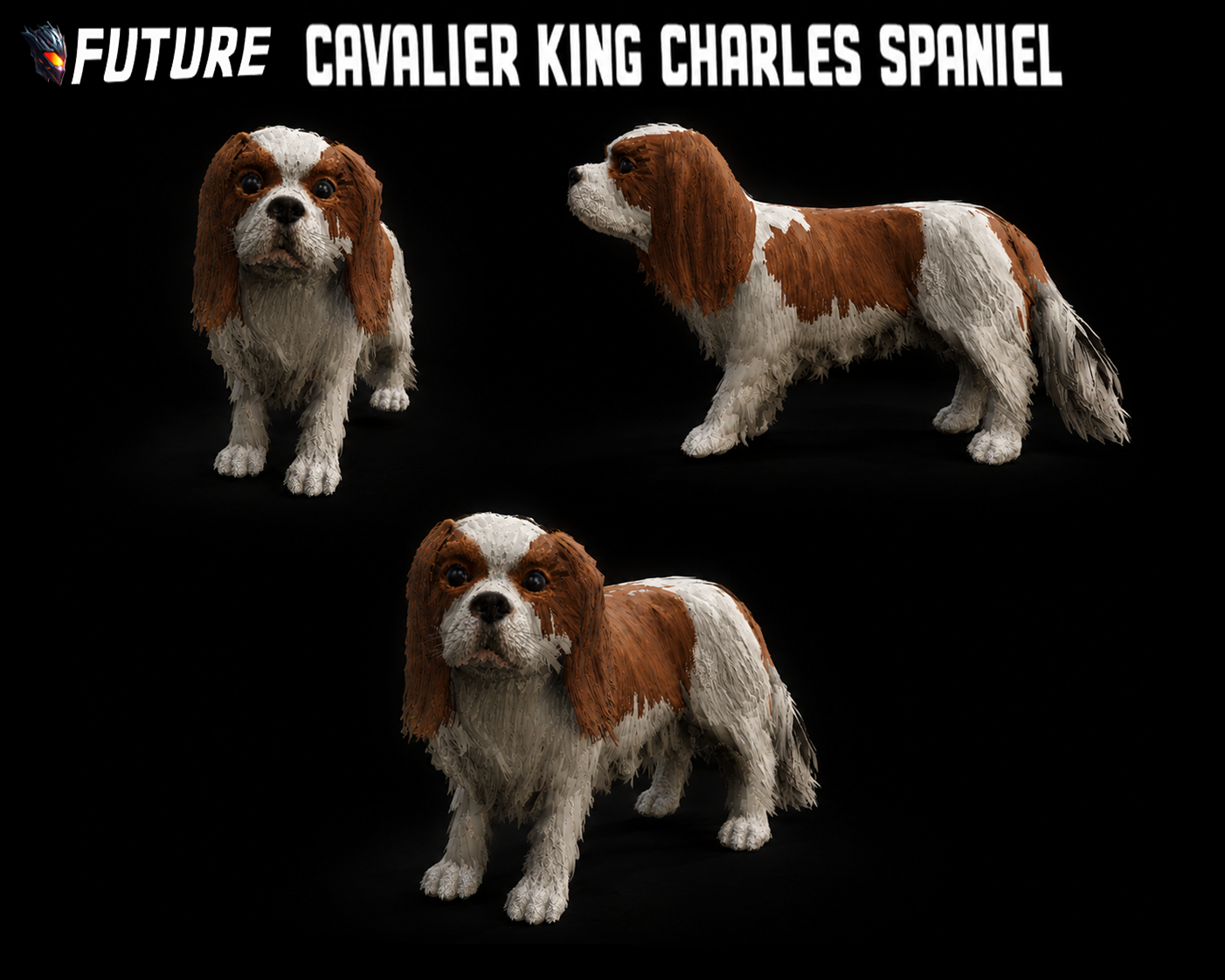 [DOG] Cavalier King Charles Spaniel