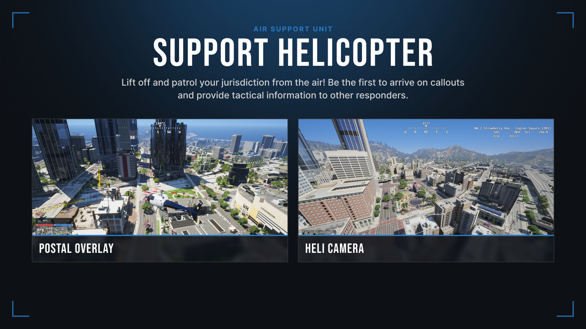 Air Support Unit