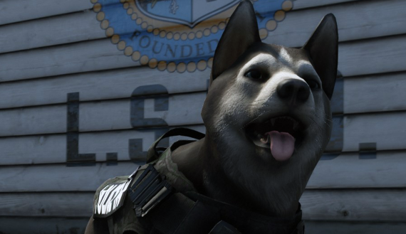[DOG] Husky K9