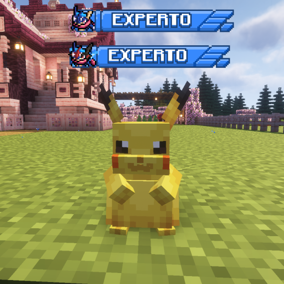 Rango Experto