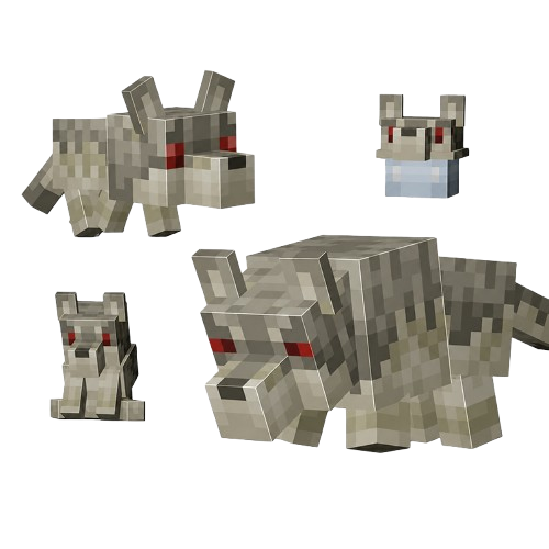 🐺 Gray Wolve — Pack Hunter