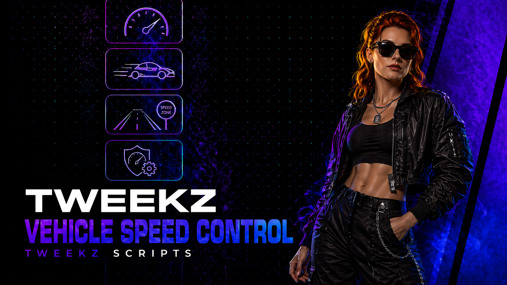 Vehicle Speed Control (standalone)