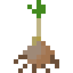 Saffron Seed
