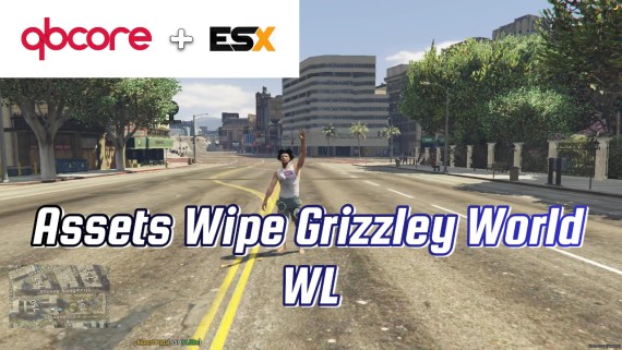 Assets Wipe Script