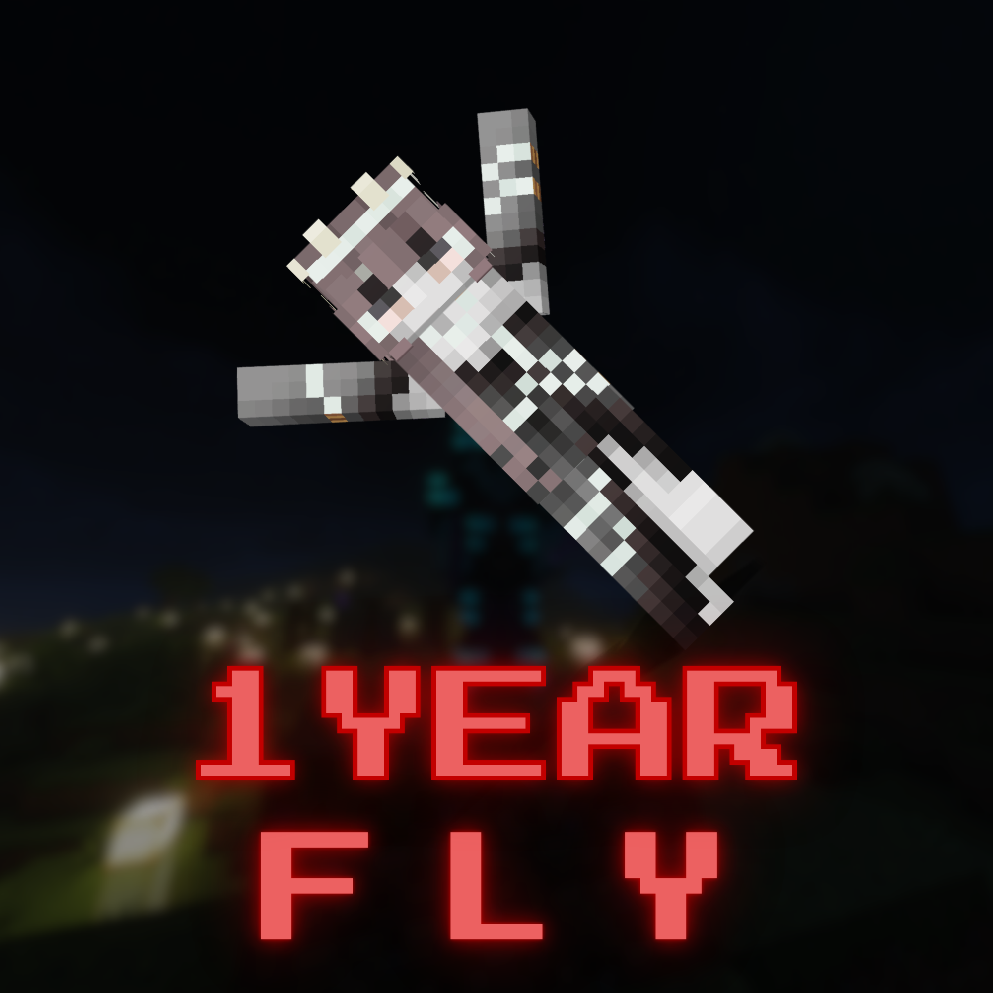 1 year Fly