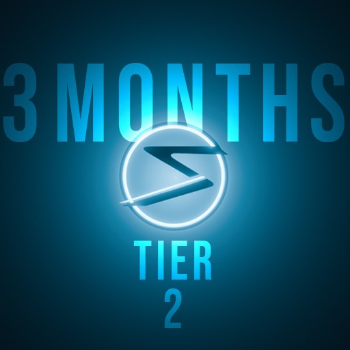 Law enforcement - 3 months