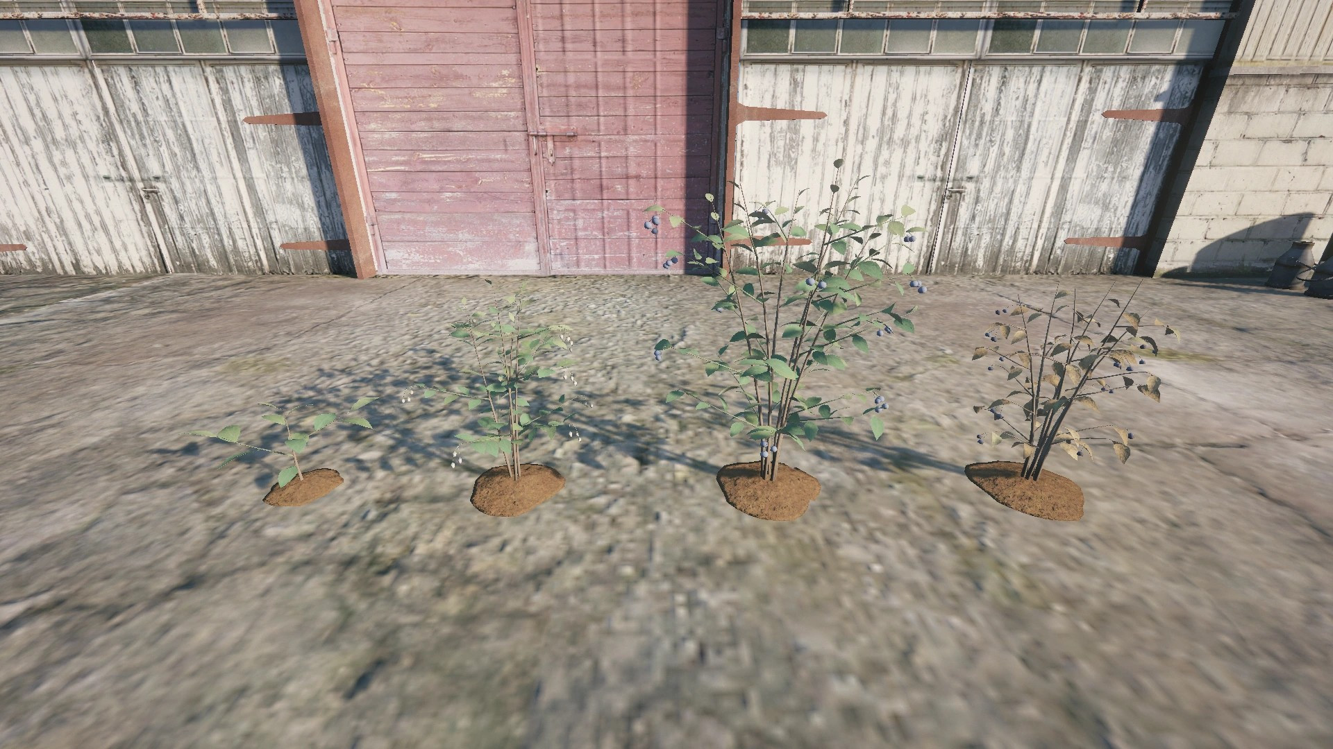 Farm Props: Fruits & Berries - 6