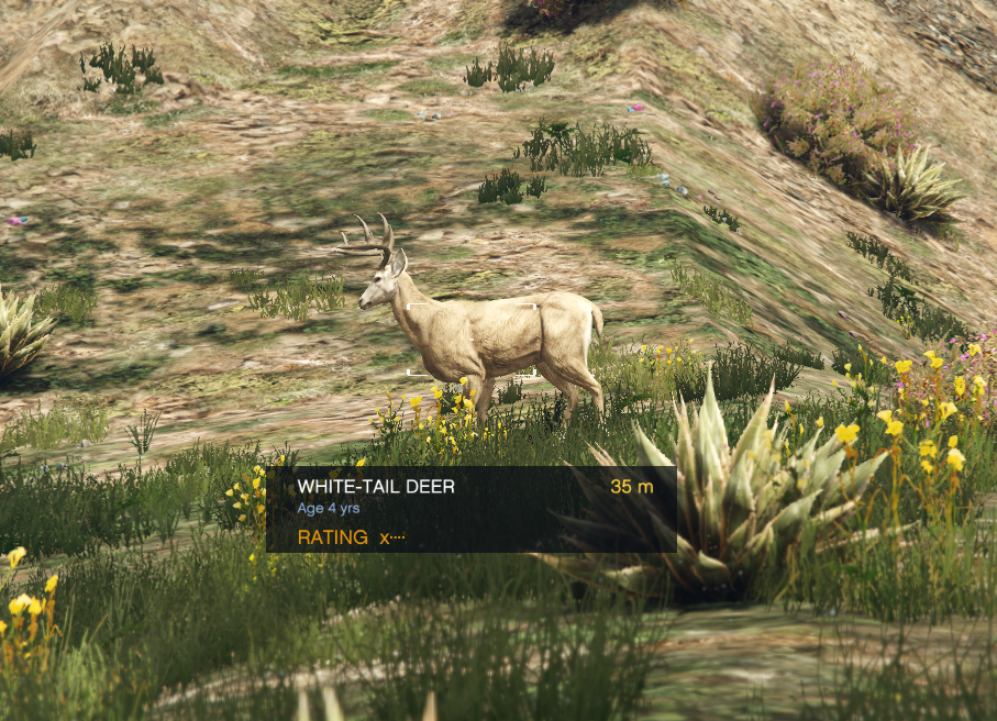 Advanced Hunting