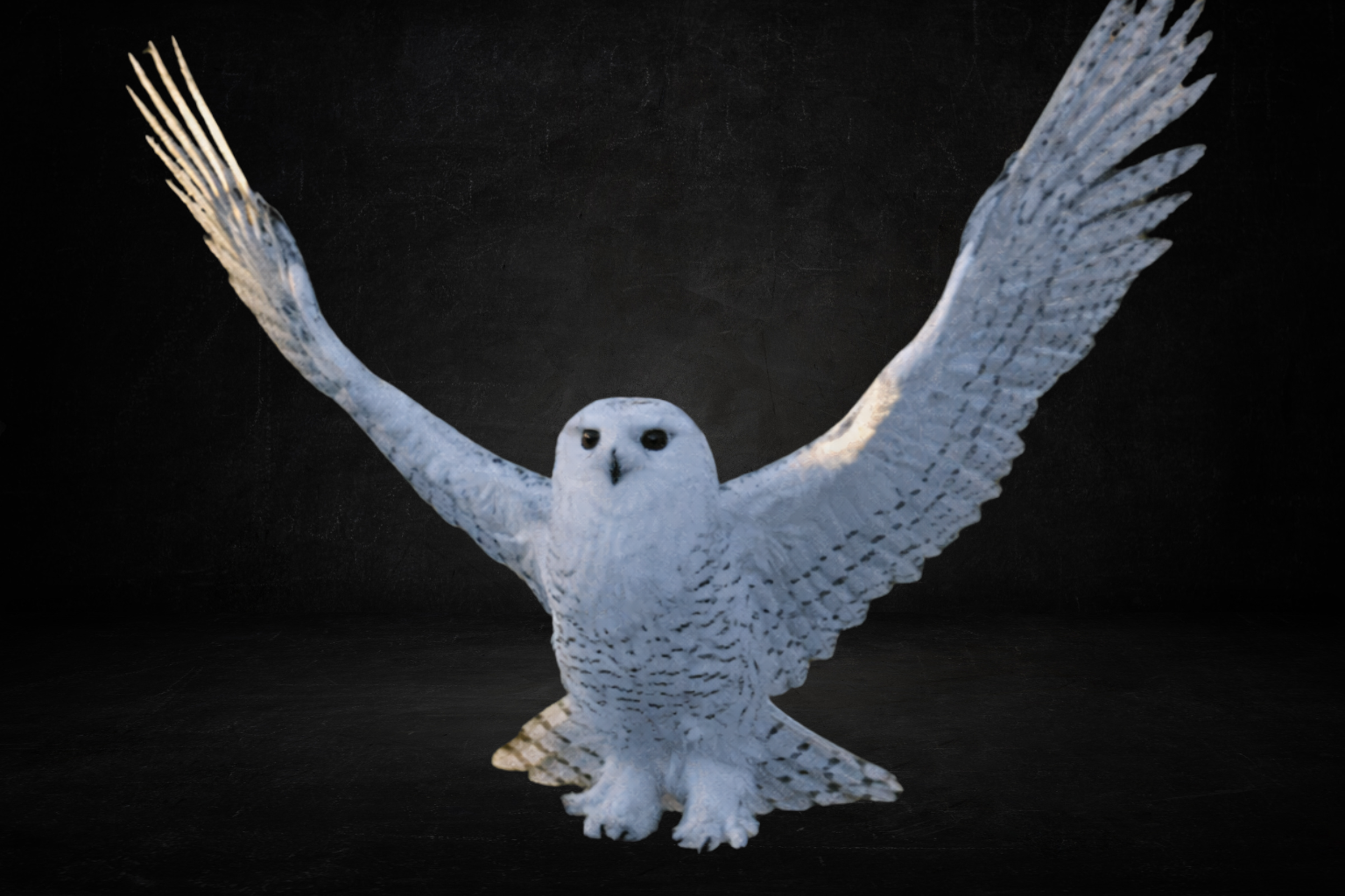 Chouette des neiges