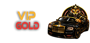 VIP GOLD - 3 LUNI