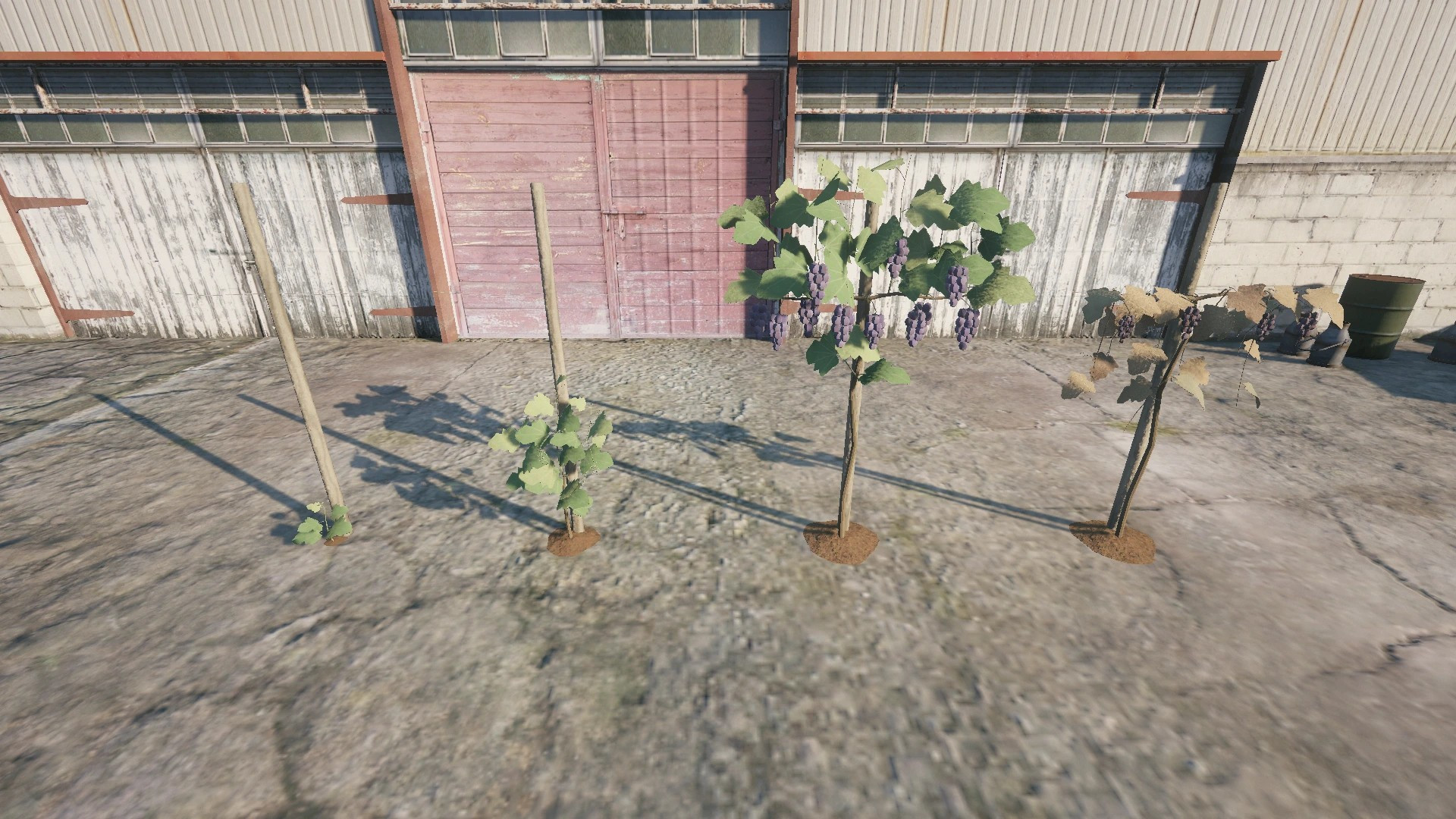 Farm Props: Fruits & Berries - 7