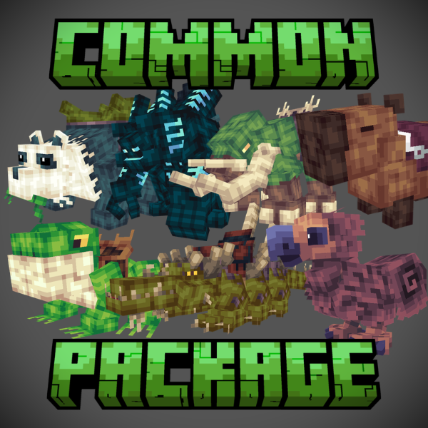 Common Package