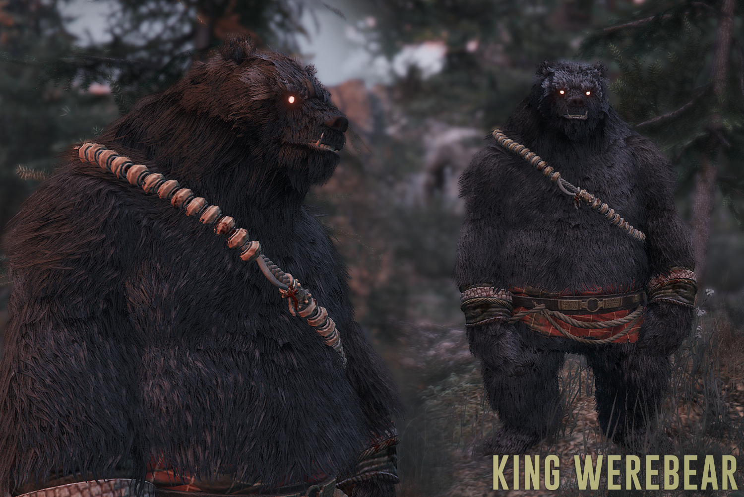 King WereBear - 5 Color Variations