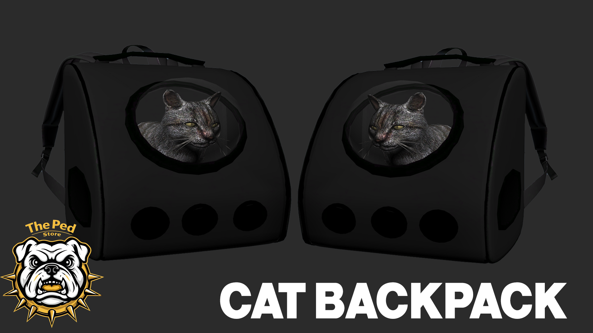 Cat Backpack