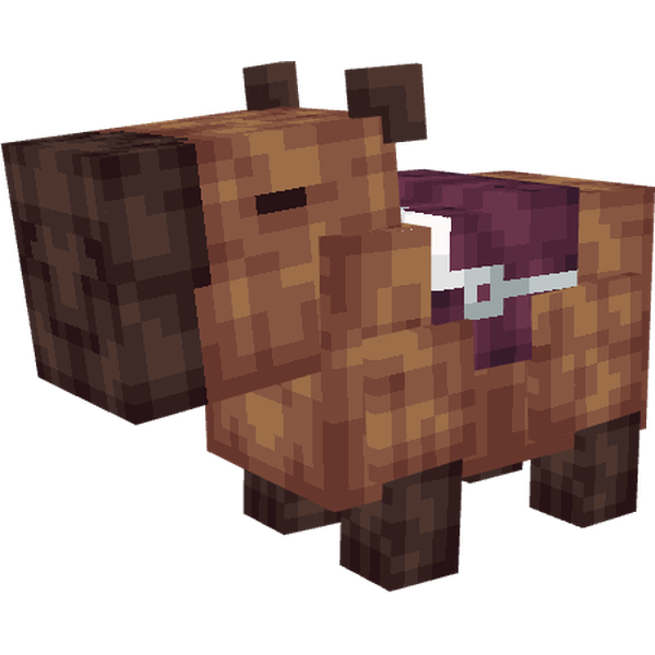 Capybara