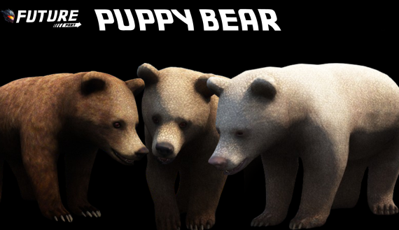 [ANIMAL] [PUPPY] Puppy Bear