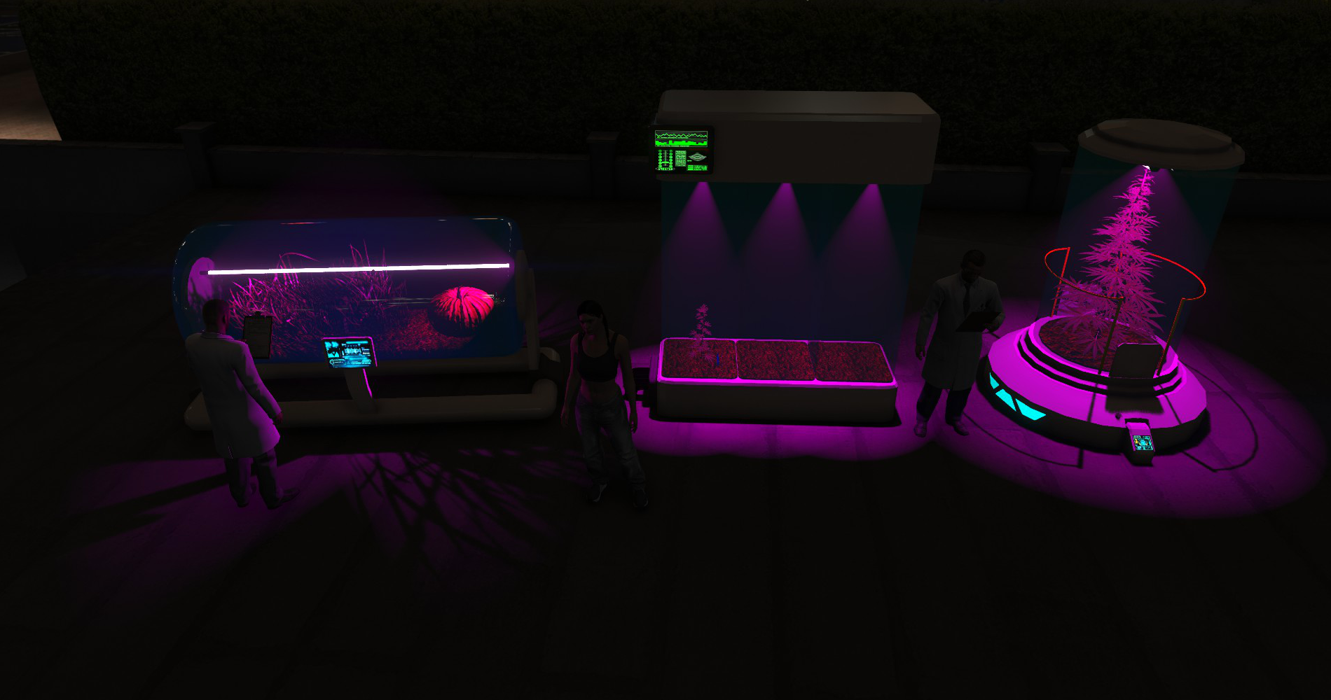 Plants incubators