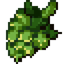 Hop Seed
