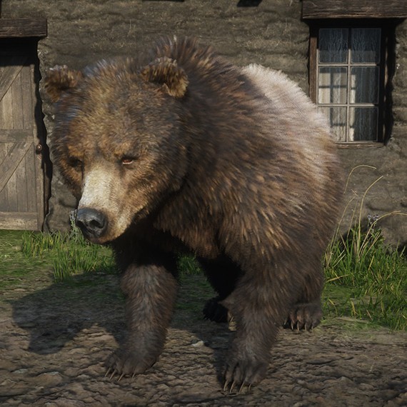 Grizzly