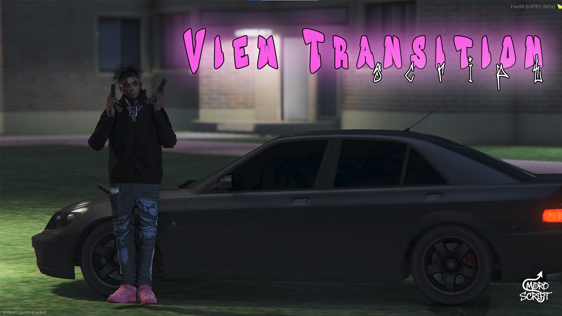 View Transition Script